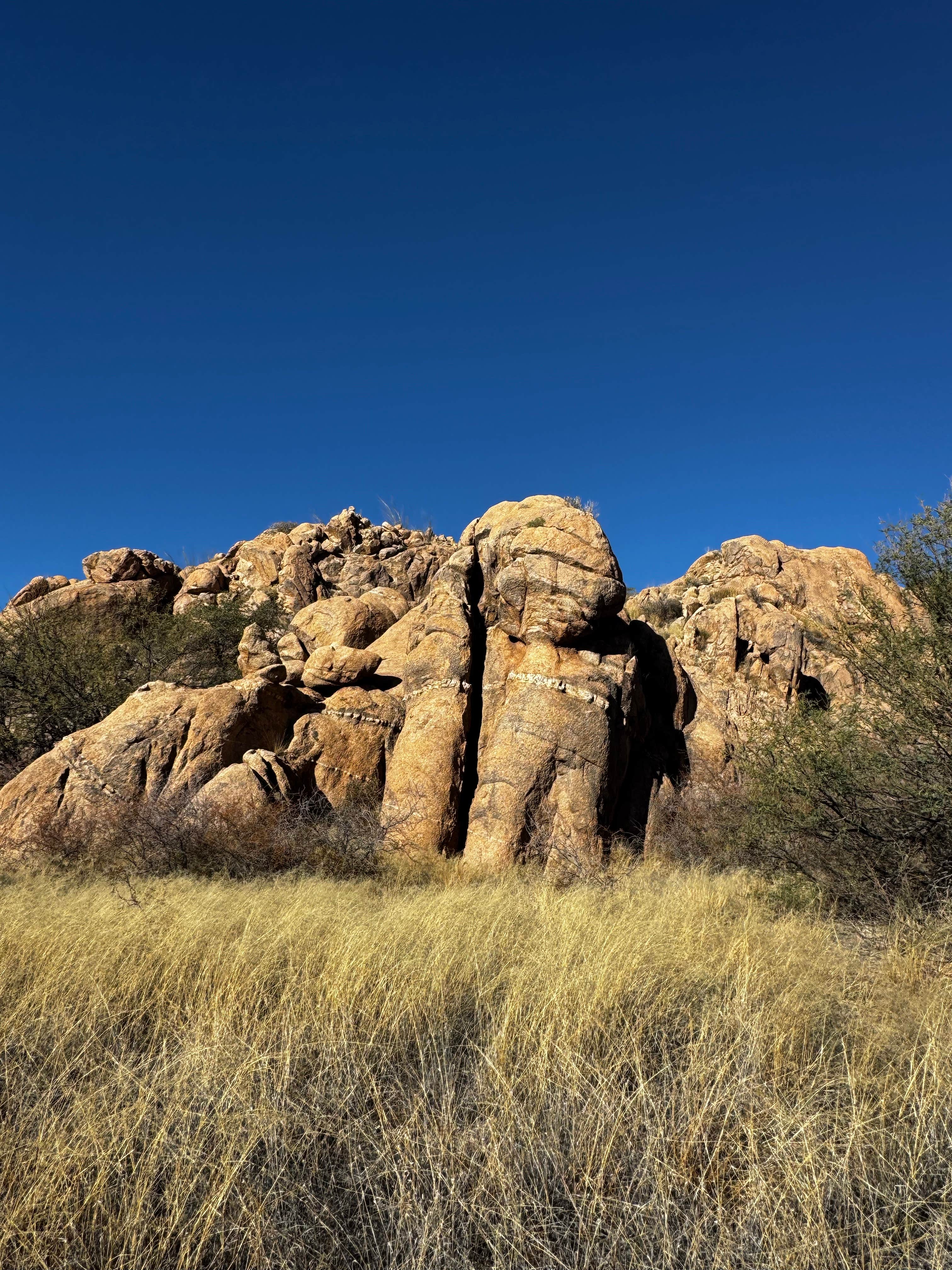 Camper-submitted photo at Tombstone Camp on Forest Road 687 near Coronado National Forest