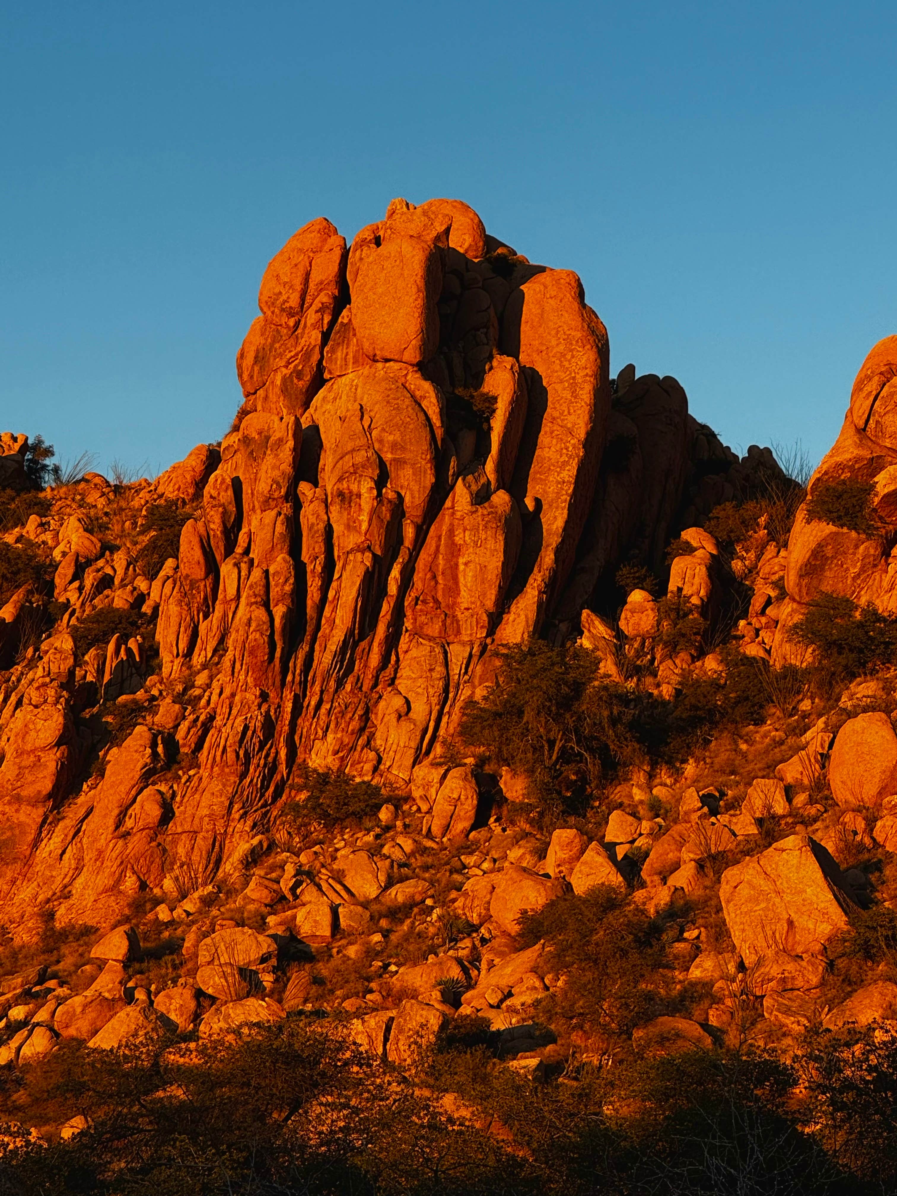 Camper-submitted photo at Tombstone Camp on Forest Road 687 near Coronado National Forest
