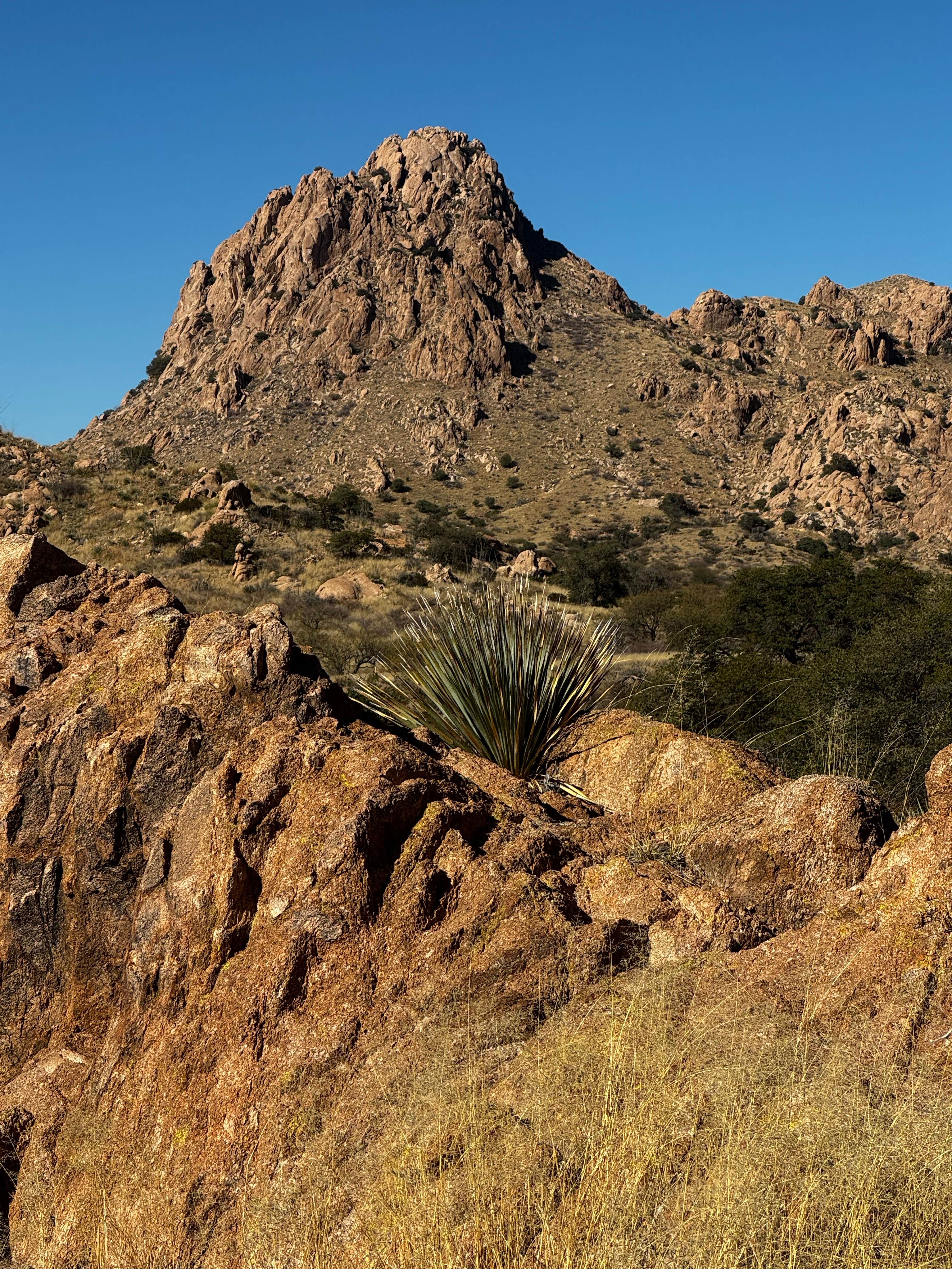 Camper-submitted photo at Tombstone Camp on Forest Road 687 near Coronado National Forest