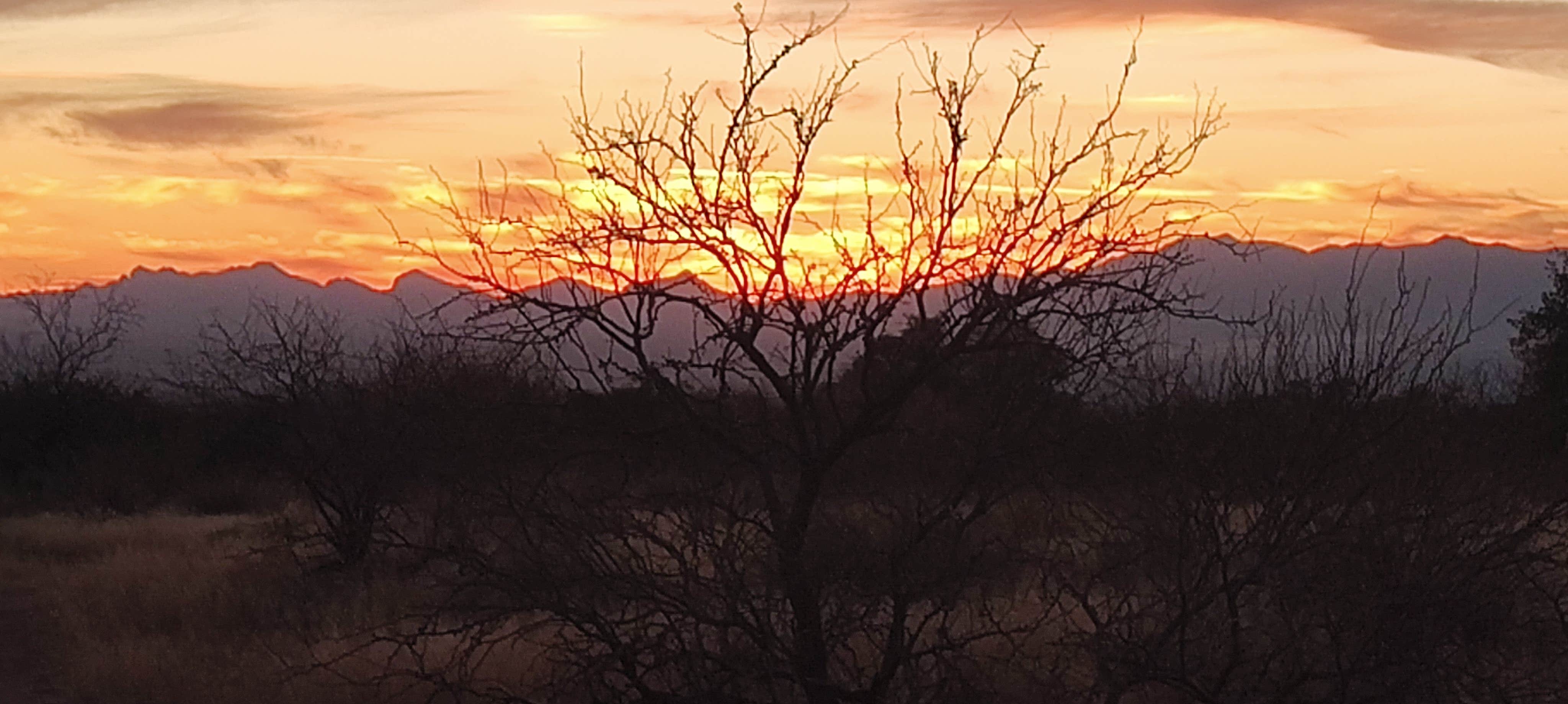 Camper-submitted photo at Tombstone Camp on Forest Road 687 near Tombstone, AZ