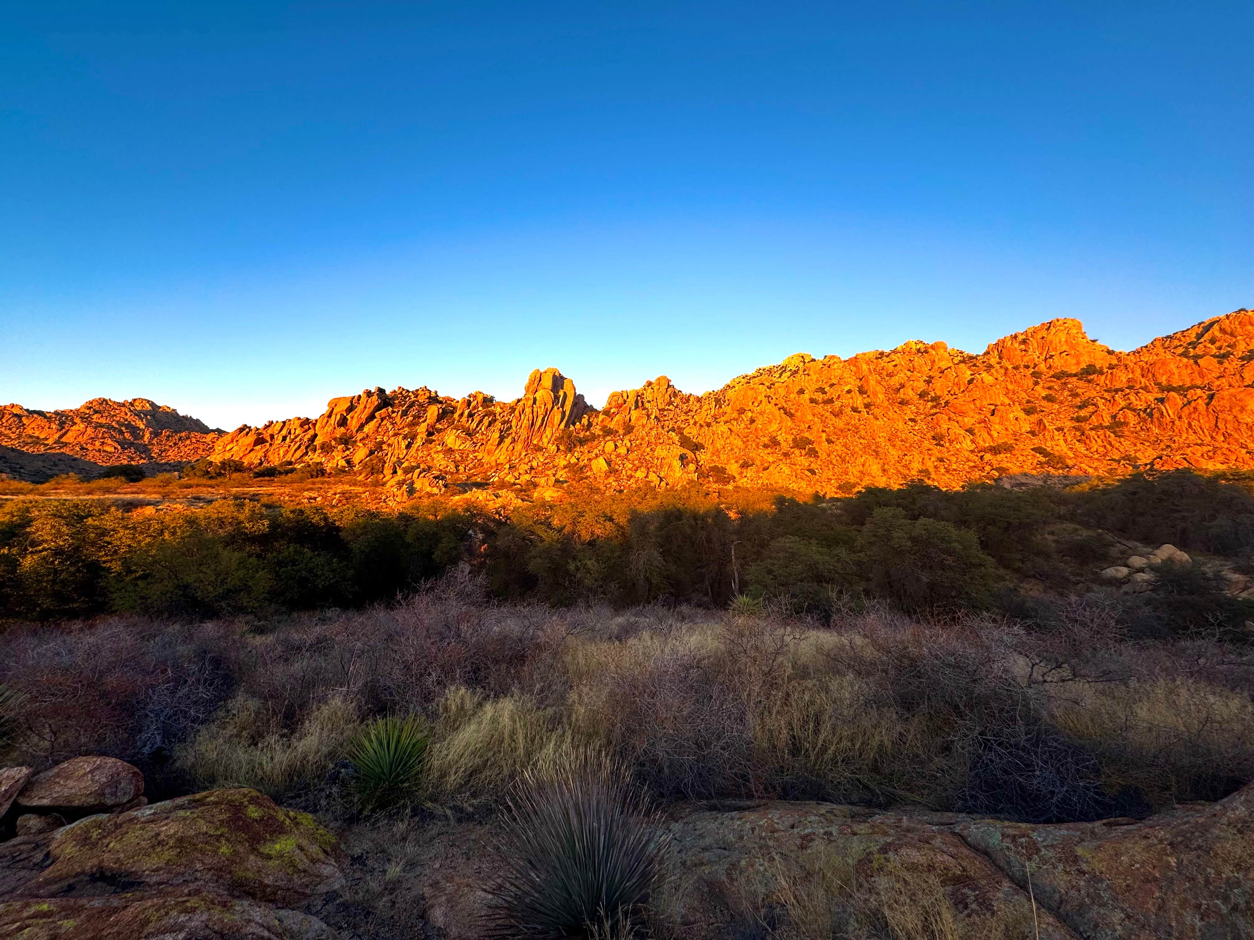 Camper submitted image from Tombstone Camp on Forest Road 687 - 1