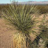 Review photo of Tombstone RV & Campground by Chris S., November 28, 2025