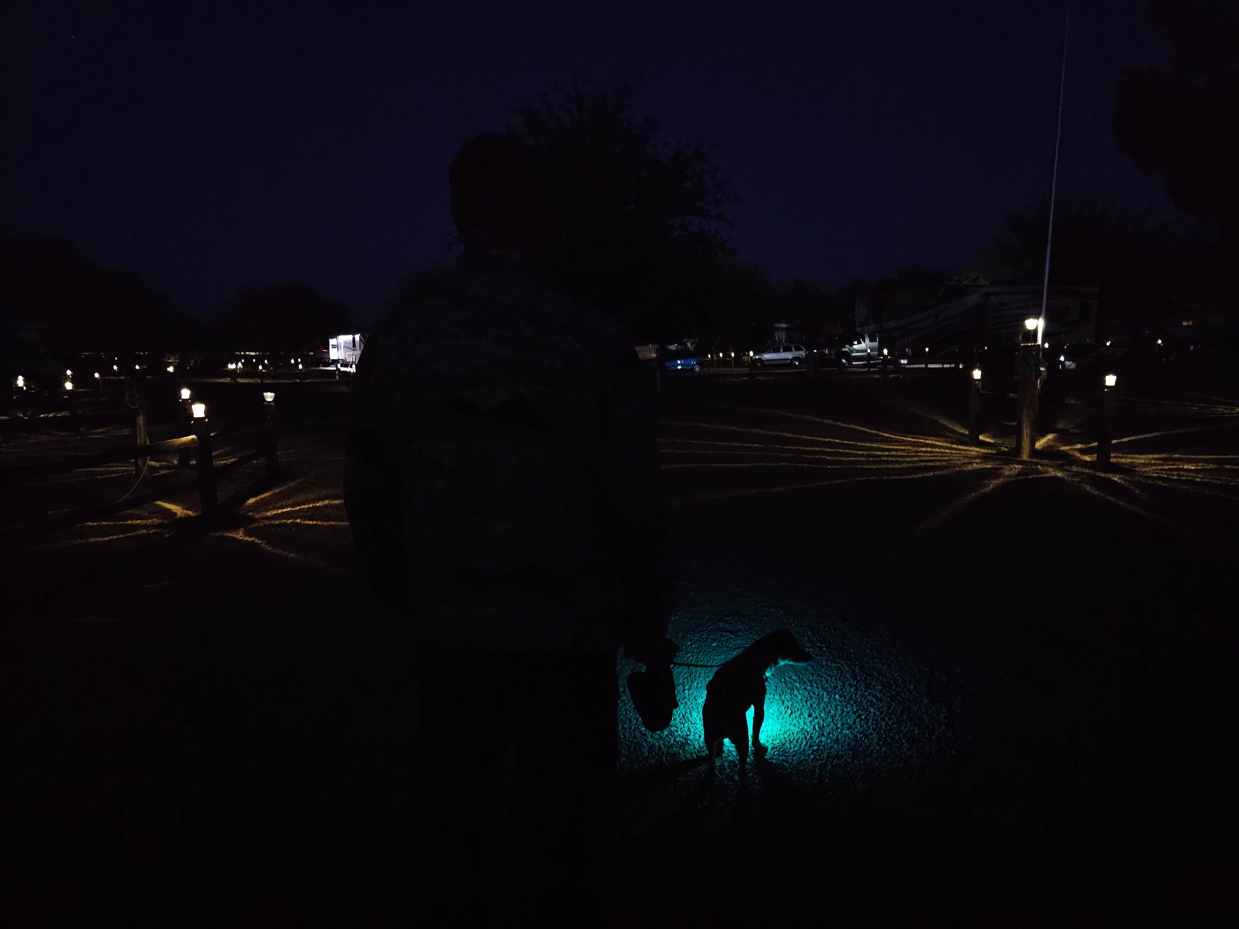 Christina H.'s photo of camping with pets at Tombstone RV & Campground near Dragoon, AZ