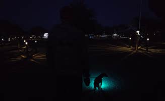 Christina H.'s photo of camping with pets at Tombstone RV & Campground near Dragoon, AZ