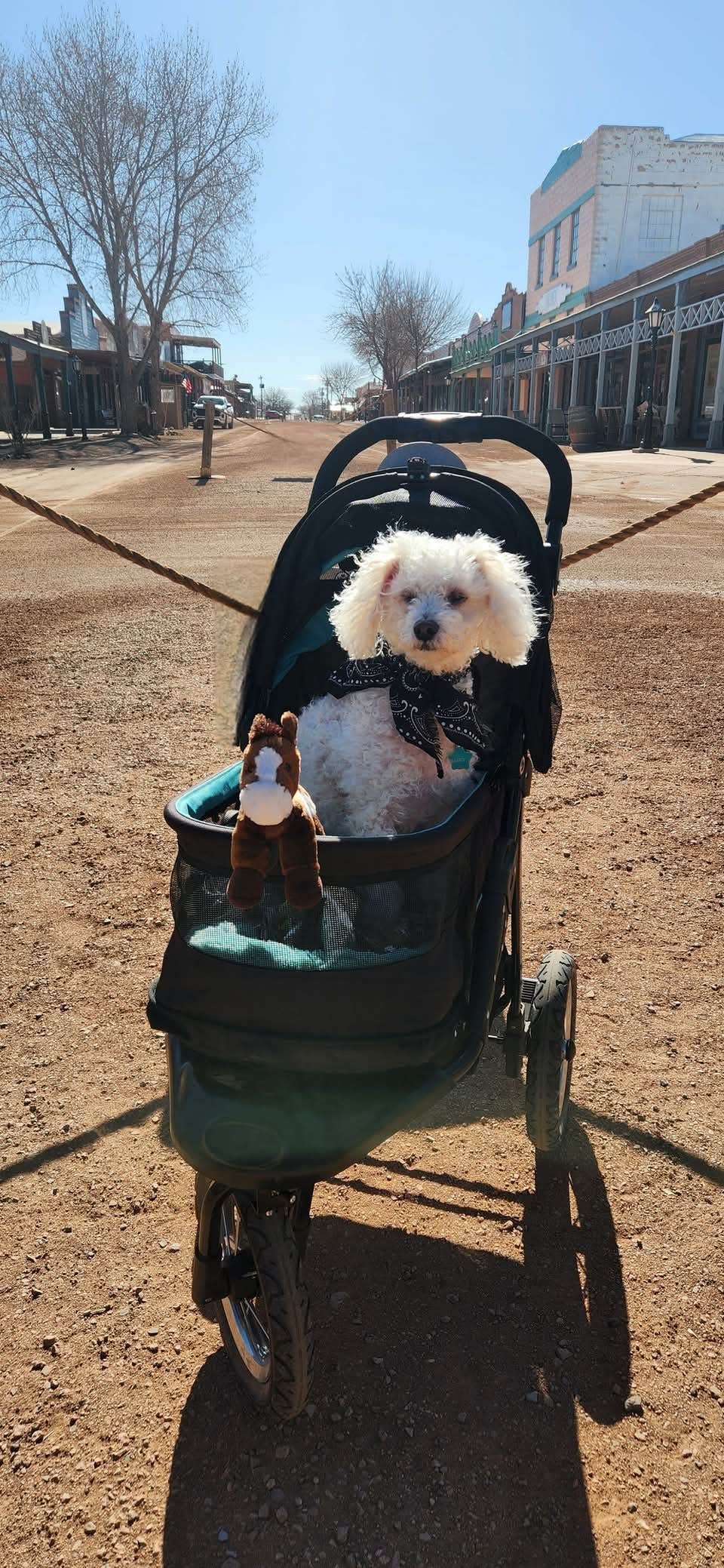 GoldDust D.'s photo of camping with pets at Tombstone RV & Campground near Bisbee, AZ