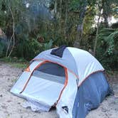 Review photo of Tomoka State Park Campground by Anne R., September 17, 2026