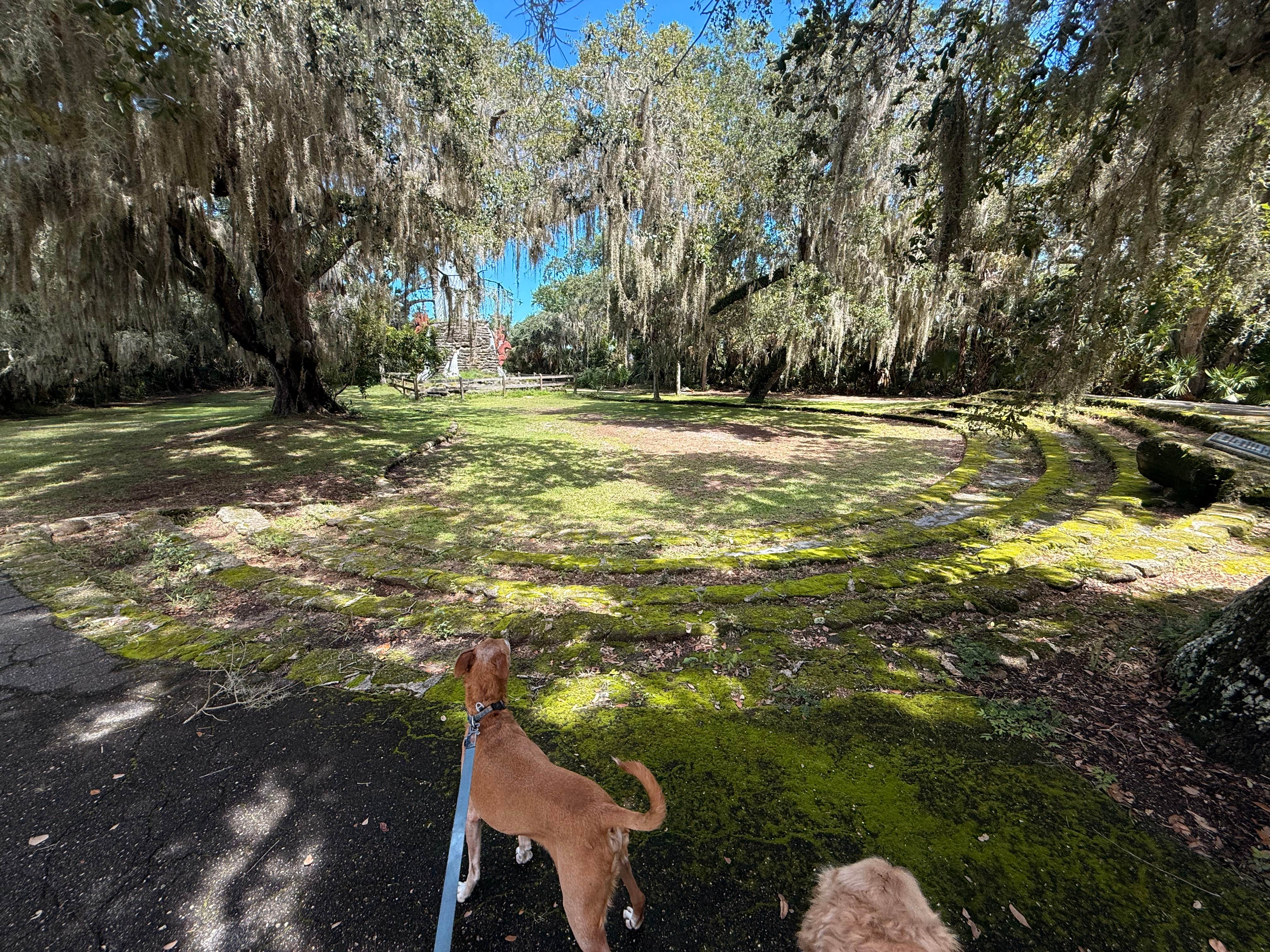 Alex L.'s photo of camping with pets at Tomoka State Park Campground near Ormond Beach, FL