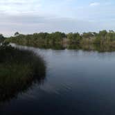 Review photo of Tomoka State Park Campground by William B., October 20, 2023