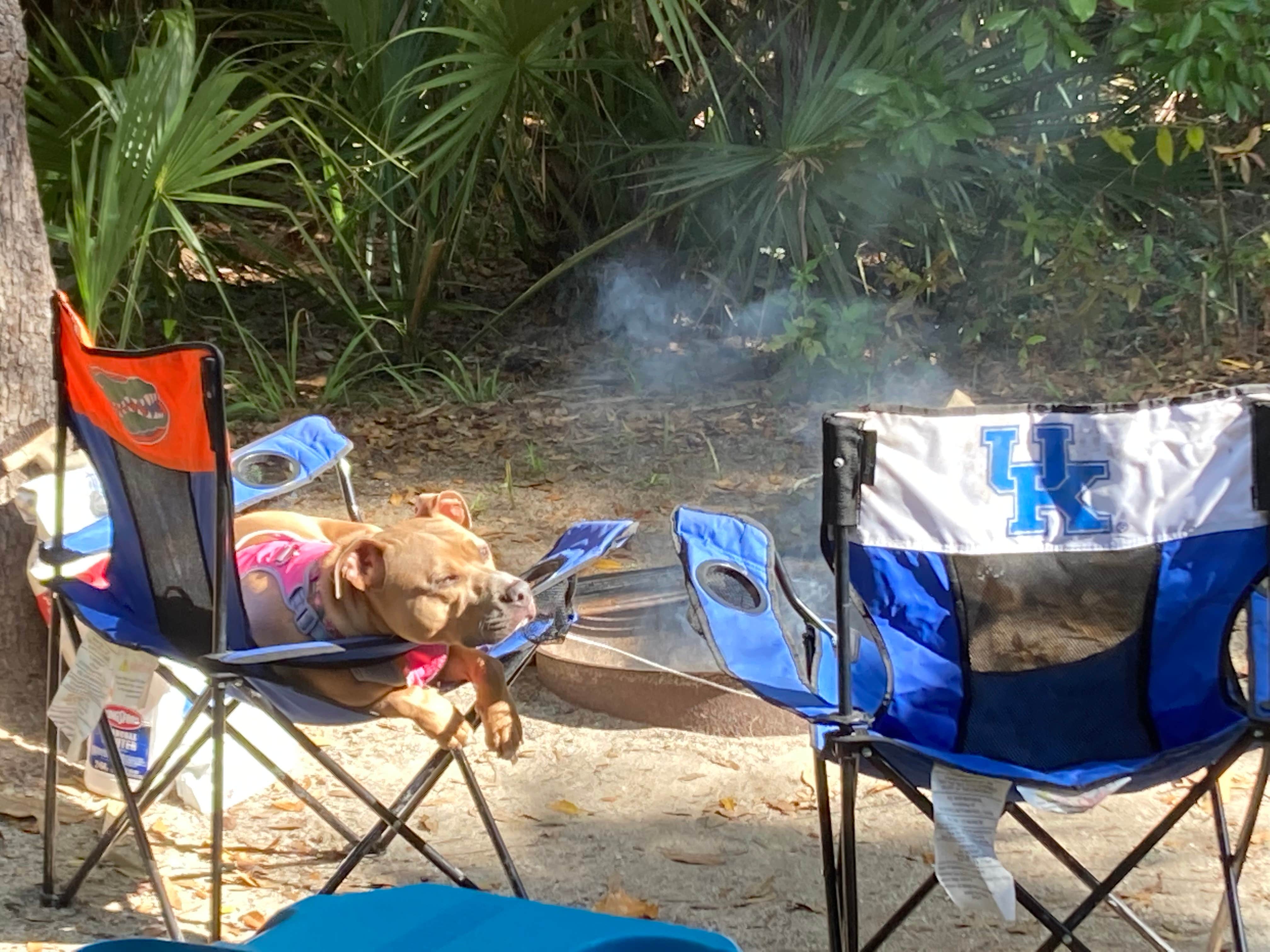 Holly T.'s photo of camping with pets at Tomoka State Park Campground near Ormond Beach, FL