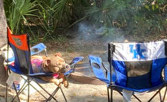 Holly T.'s photo of camping with pets at Tomoka State Park Campground near Oak Hill, FL