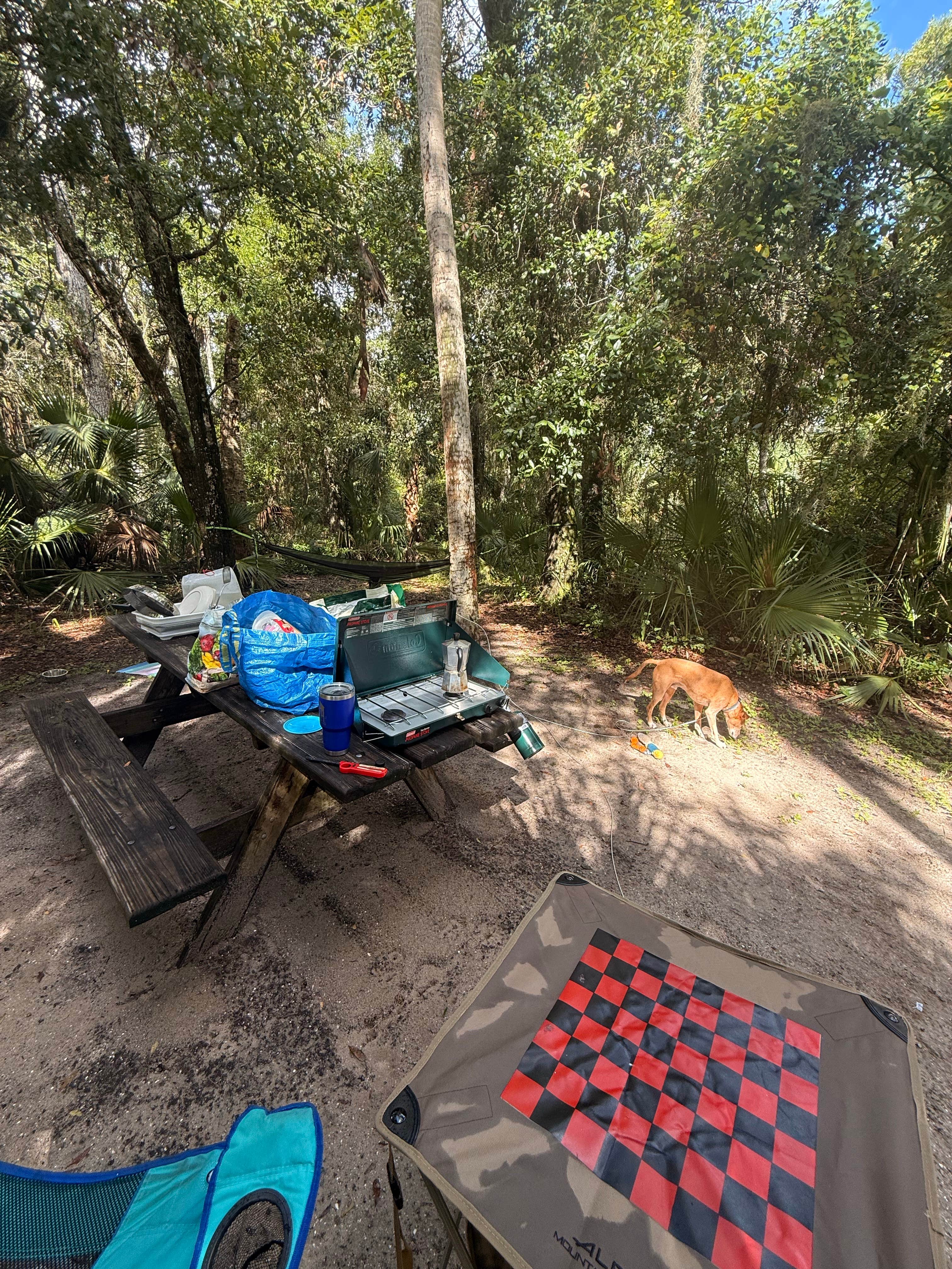 Alex L.'s photo of camping with pets at Tomoka State Park Campground near Ormond Beach, FL