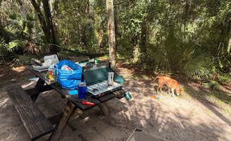 Alex L.'s photo at Tomoka State Park Campground near New Smyrna Beach, FL