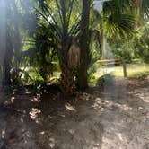 Review photo of Tomoka State Park Campground by Alex L., September 15, 2025