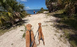 Alex L.'s photo of camping with pets at Tomoka State Park Campground near Oak Hill, FL