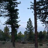 Review photo of Toms Best Spring Road - Dispersed Camping by Tarrah C., June 28, 2024