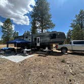 Review photo of Toms Best Spring Road - Dispersed Camping by Kathy H., July 8, 2025