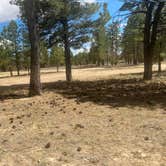 Review photo of Toms Best Spring Road - Dispersed Camping by Kathy H., July 8, 2025
