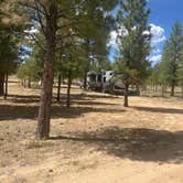 Review photo of Toms Best Spring Road - Dispersed Camping by Kathy H., July 8, 2025