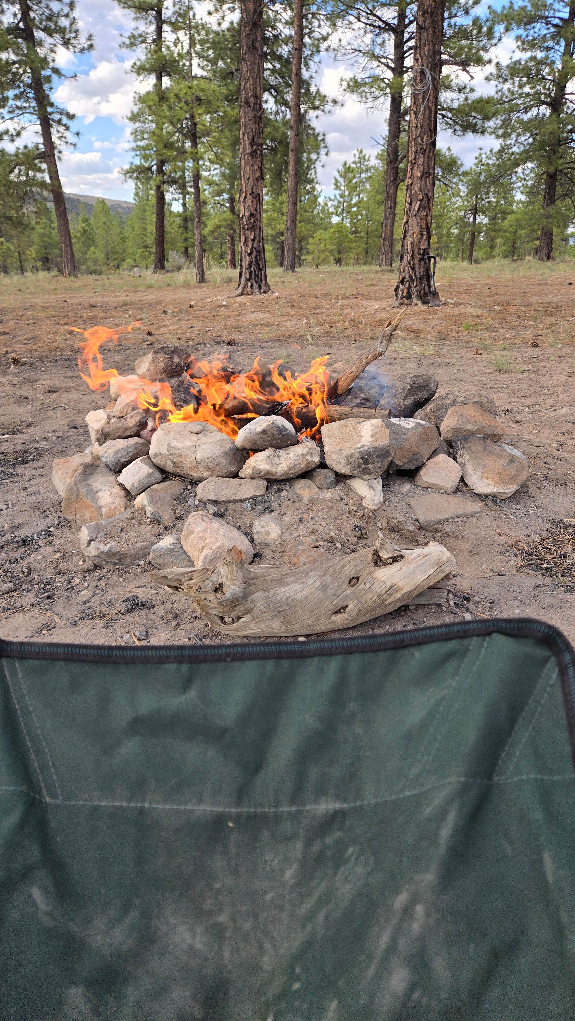 Tarrah C.'s photo at Toms Best Spring Road - Dispersed Camping near Panguitch, UT