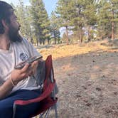 Review photo of Toms Best Spring Road - Dispersed Camping by Virginia G., July 26, 2025