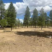 Review photo of Toms Best Spring Road - Dispersed Camping by Kathy H., July 8, 2025