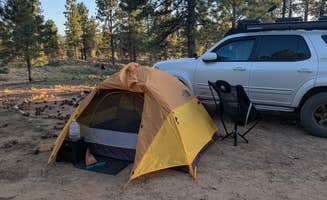 Thanh H.'s photo at Toms Best Spring Road - Dispersed Camping near Panguitch, UT