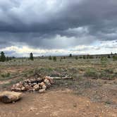 Review photo of Toms Best Spring Road - Dispersed Camping by Melinda B., June 7, 2025