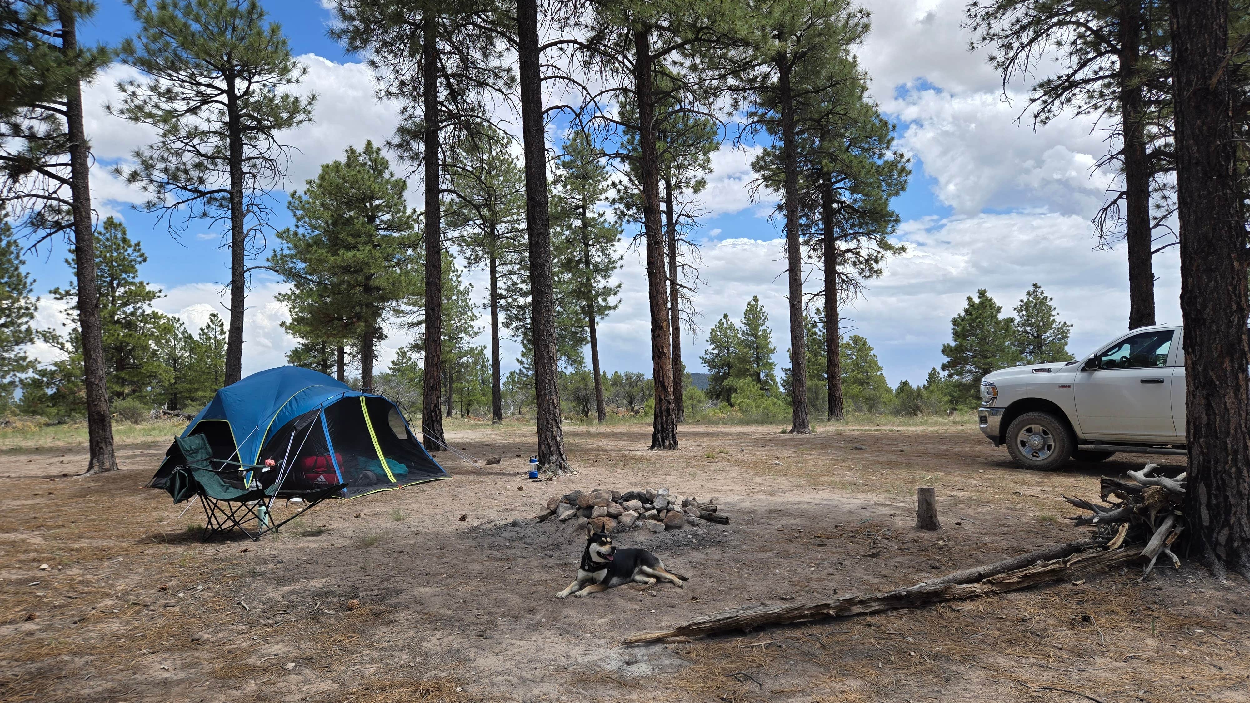 Tarrah C.'s photo of camping with pets at Toms Best Spring Road - Dispersed Camping near Bryce Canyon National Park
