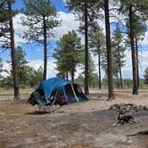 Review photo of Toms Best Spring Road - Dispersed Camping by Tarrah C., June 28, 2024