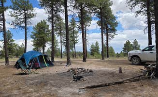 Tarrah C.'s photo at Toms Best Spring Road - Dispersed Camping near Dixie National Forest