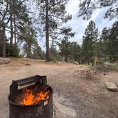 Review photo of Tool Box Springs - Yellow Post Campground by Winter T., April 10, 2026