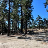 Review photo of Tool Box Springs - Yellow Post Campground by Rhyn E., September 3, 2024