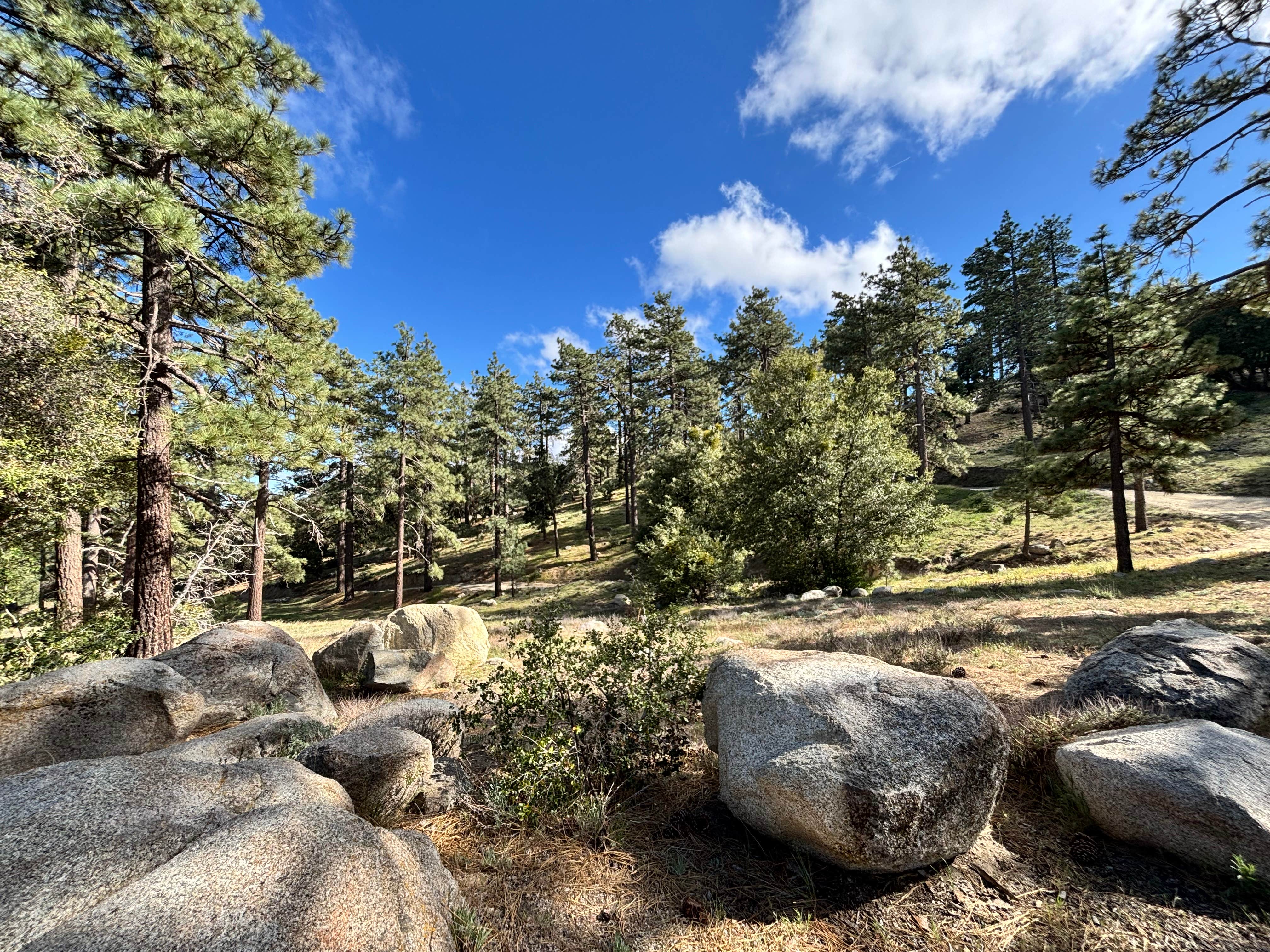 ToolBox Springs Yellow Post 8