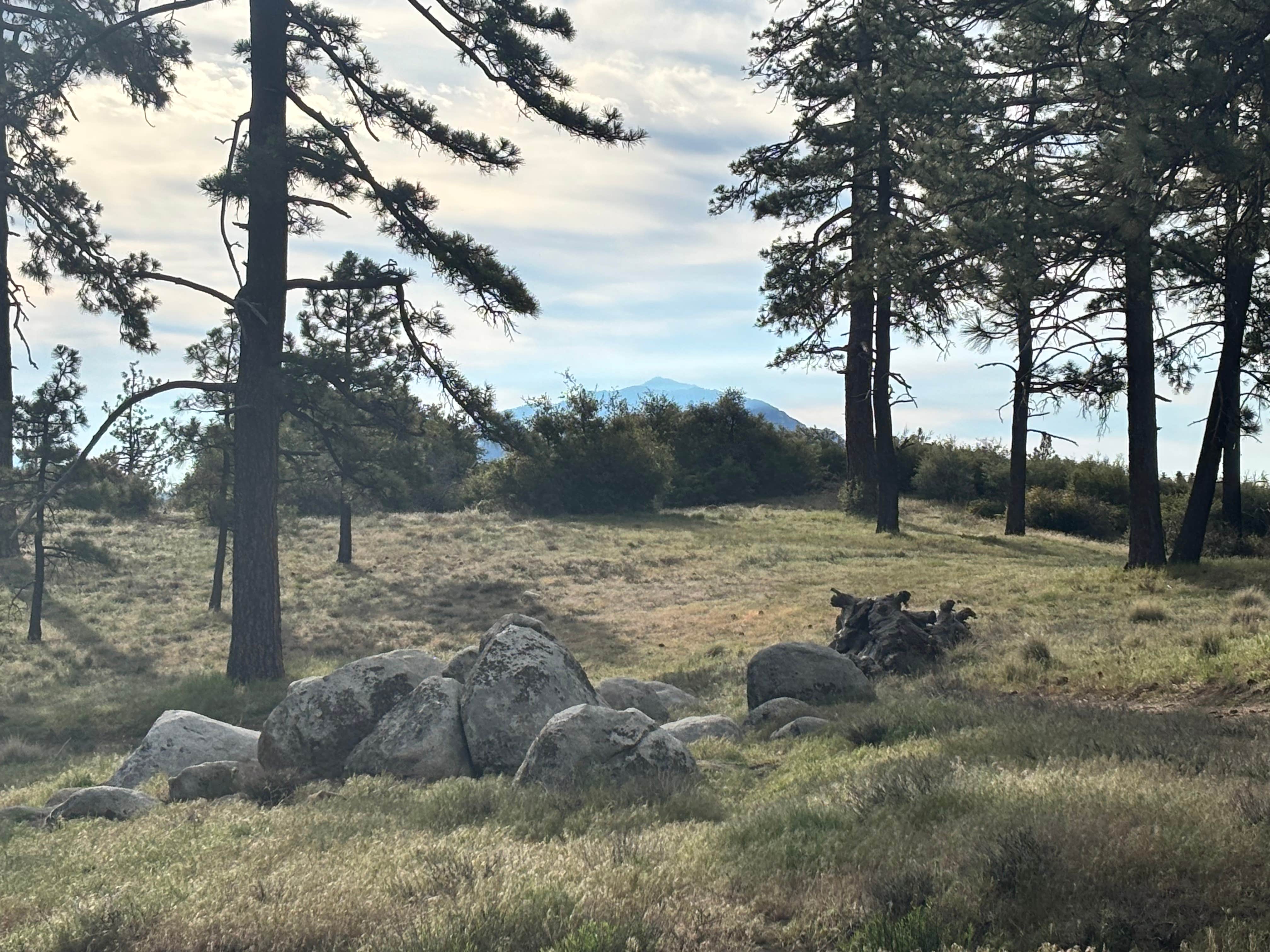 Camper-submitted photo at ToolBox Springs Yellow Post 8 near Aguanga, CA