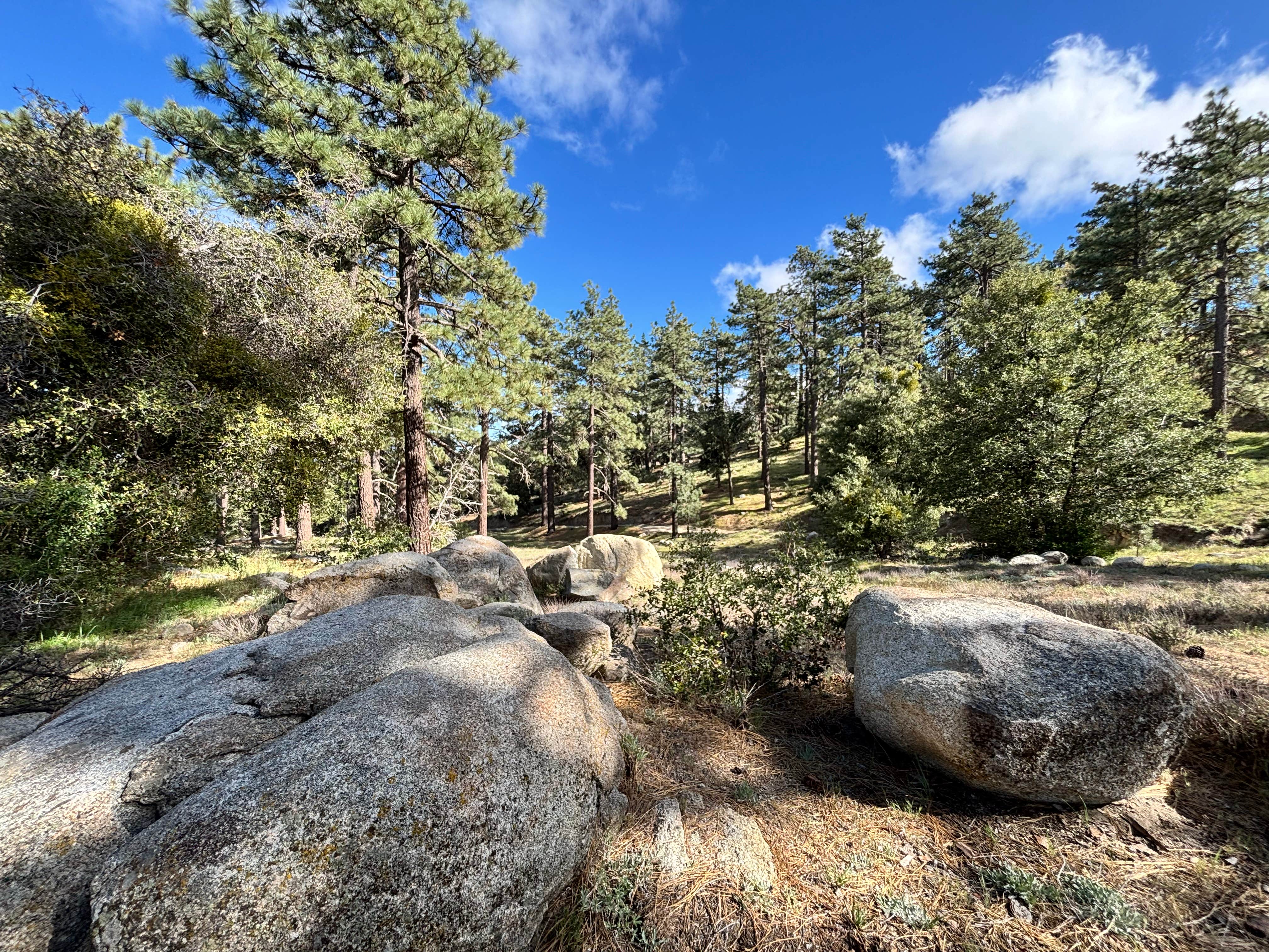 Camper-submitted photo at ToolBox Springs Yellow Post 8 near Aguanga, CA