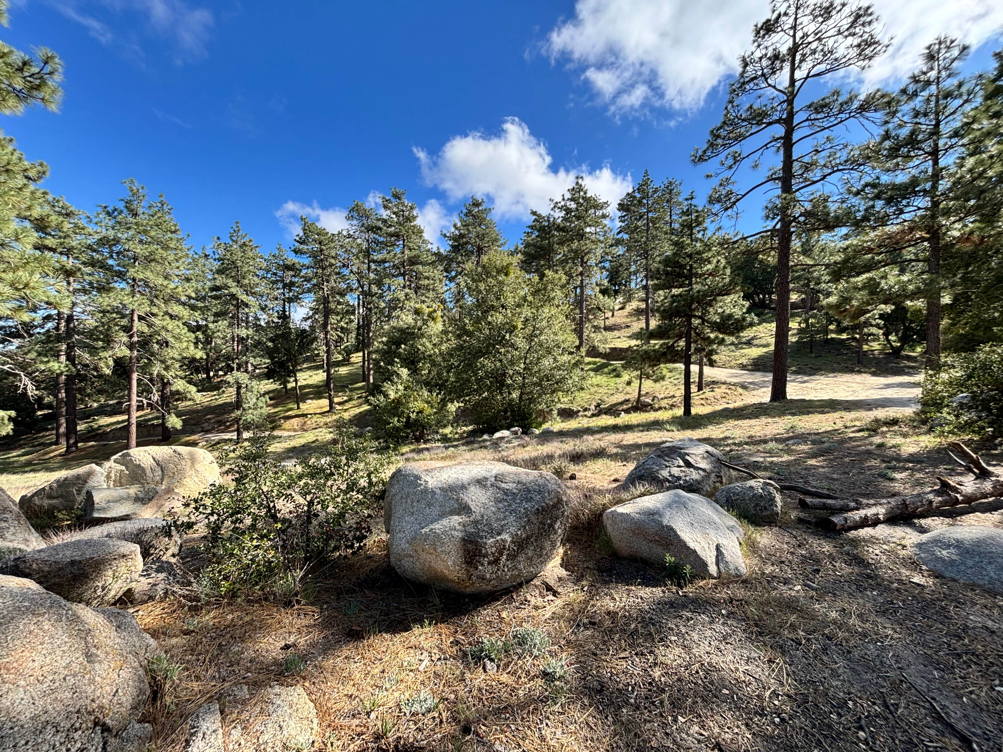 Camper-submitted photo at ToolBox Springs Yellow Post 8 near Aguanga, CA