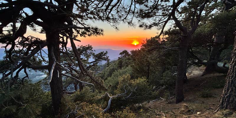 Camper submitted image from ToolBox Springs Yellow Post 8
