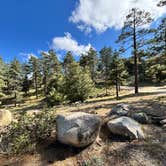 Review photo of ToolBox Springs Yellow Post 8 by Winter T., April 11, 2026