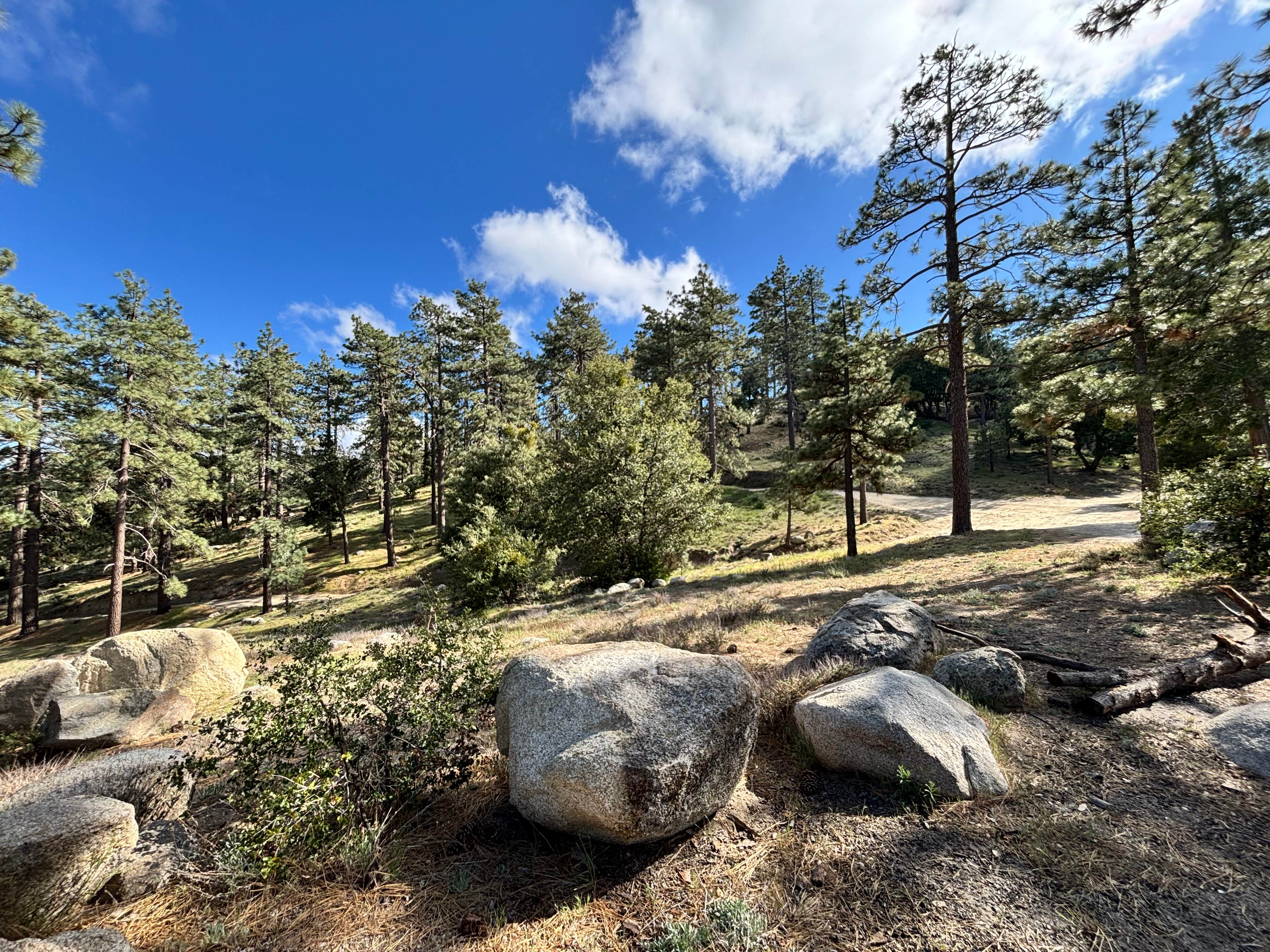 Camper-submitted photo at ToolBox Springs Yellow Post 8 near Aguanga, CA