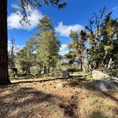 Review photo of ToolBox Springs Yellow Post 8 by Winter T., April 11, 2026