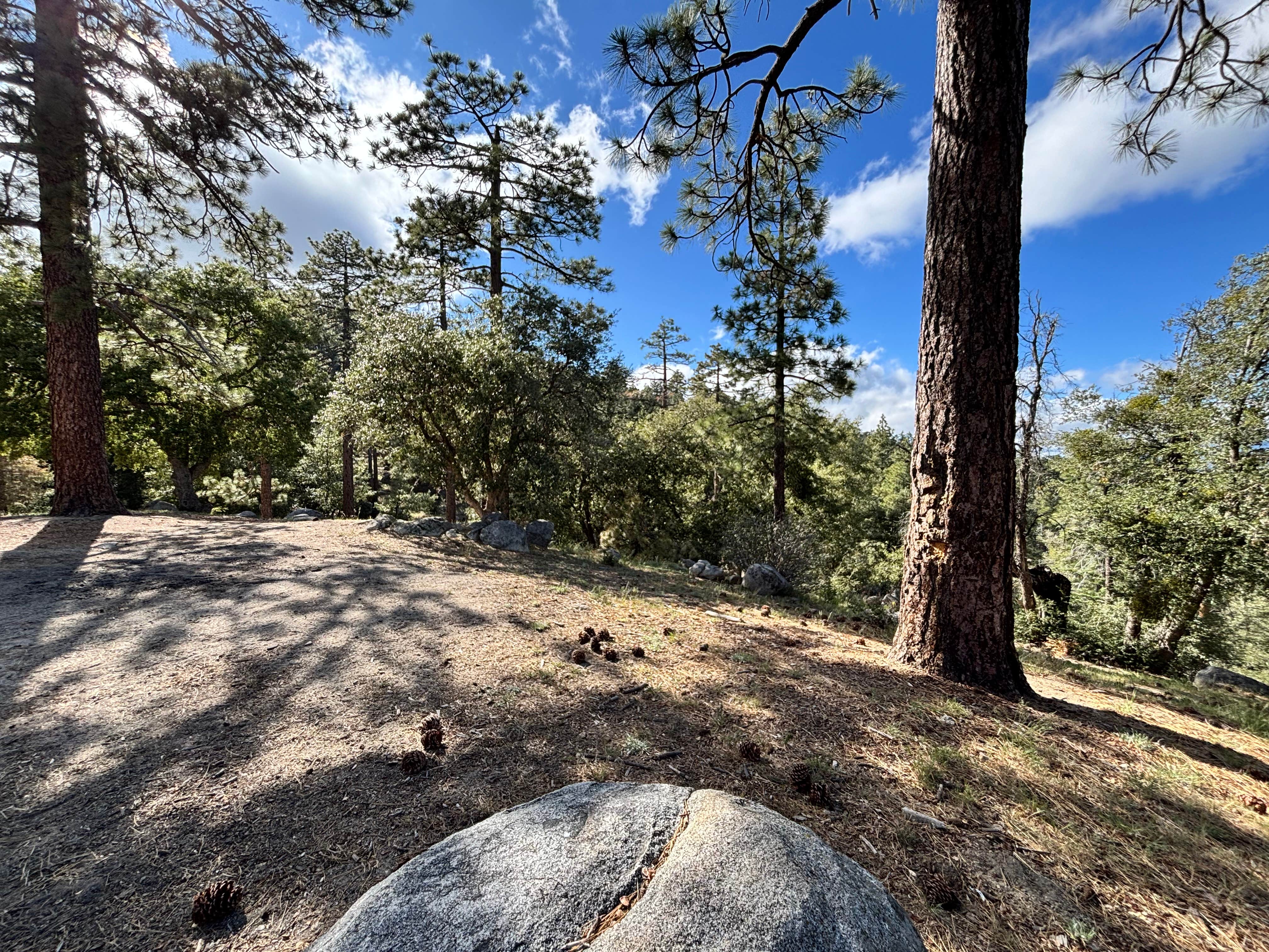 Camper-submitted photo at ToolBox Yellow Post 6 near Wildomar, CA