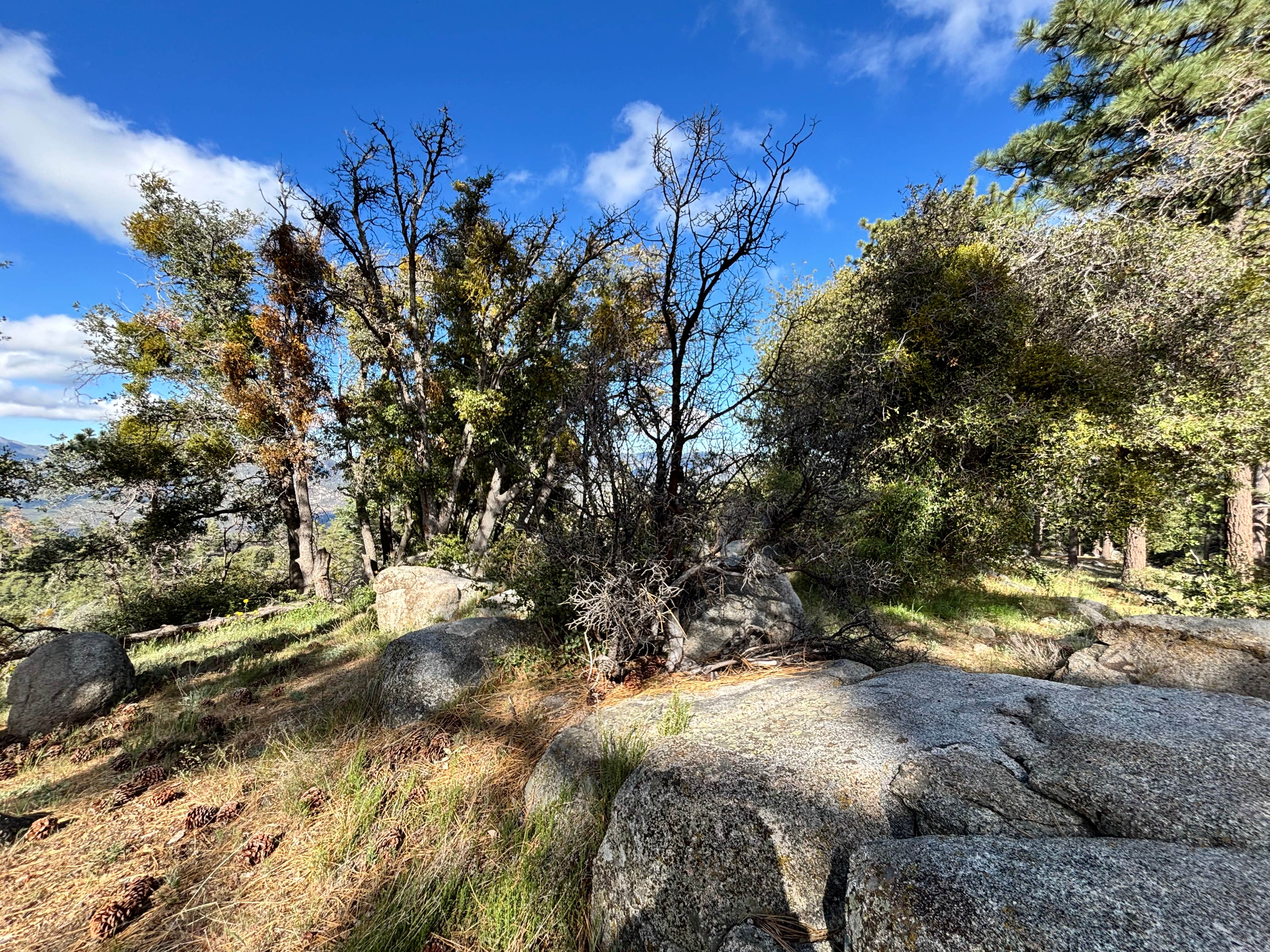 ToolBox Yellow Post 6