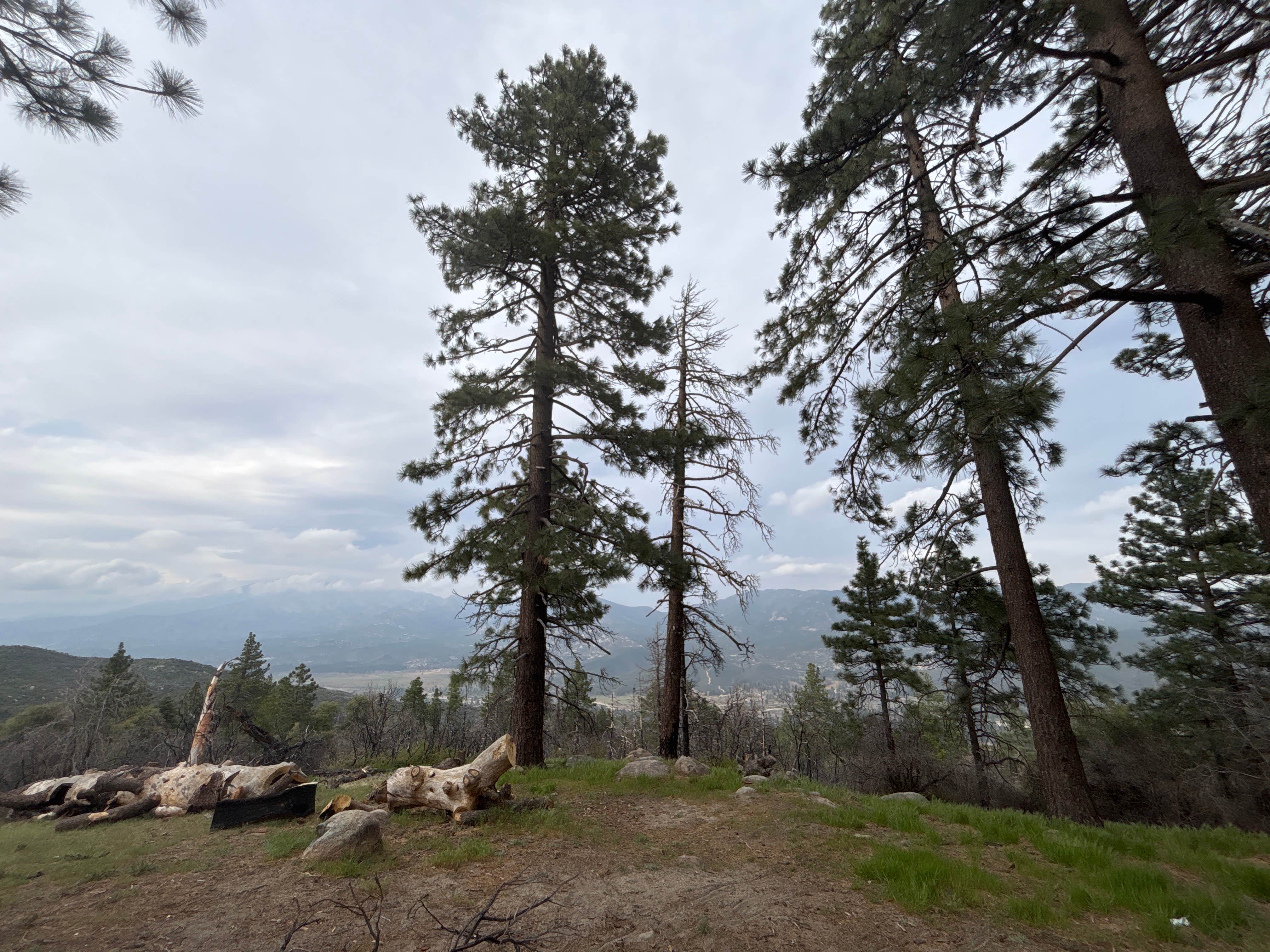 Camper-submitted photo at ToolBox Yellow Post 6 near Wildomar, CA