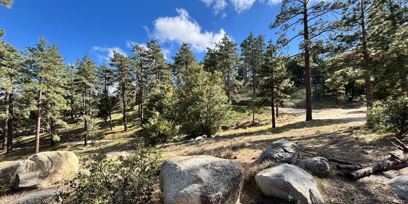 Camper submitted image from ToolBox Yellow Post 6