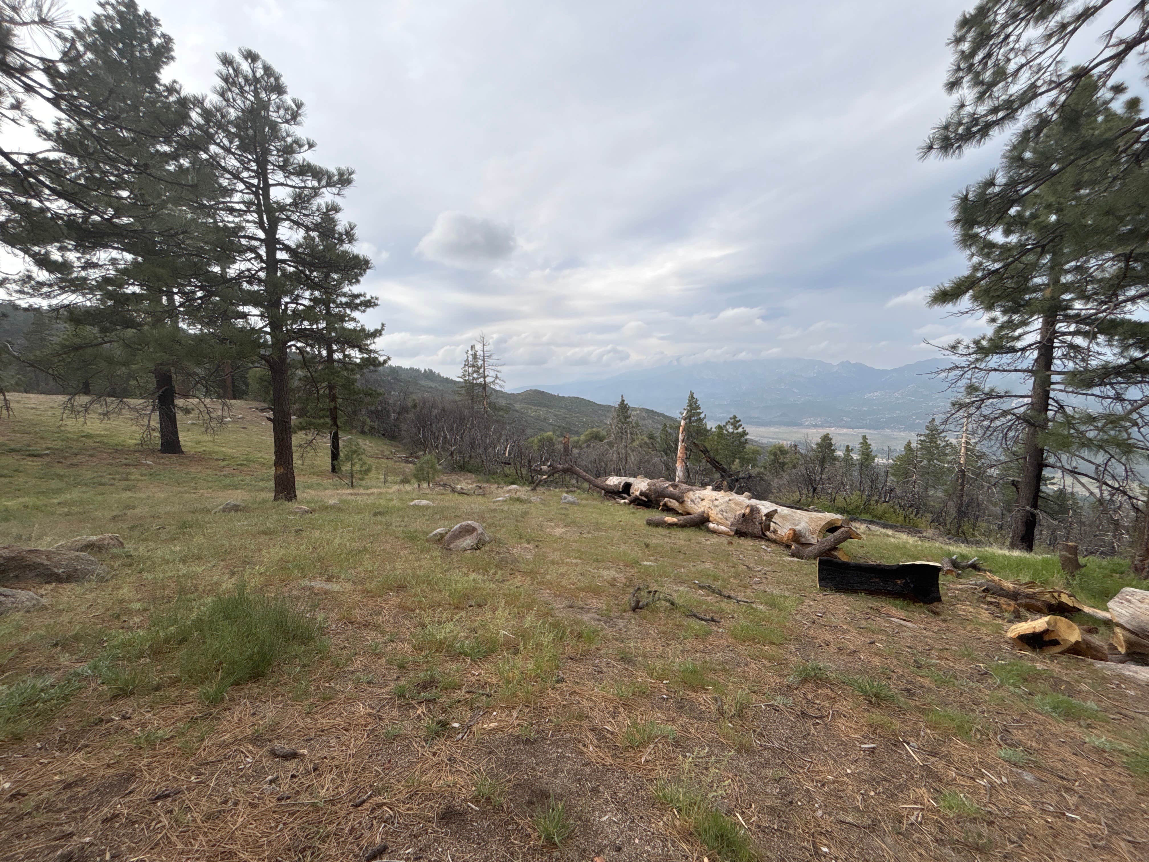 Camping near San Bernardino National Forest Santa Rosa Springs Campground: ToolBox Yellow Post 6, Anza, California