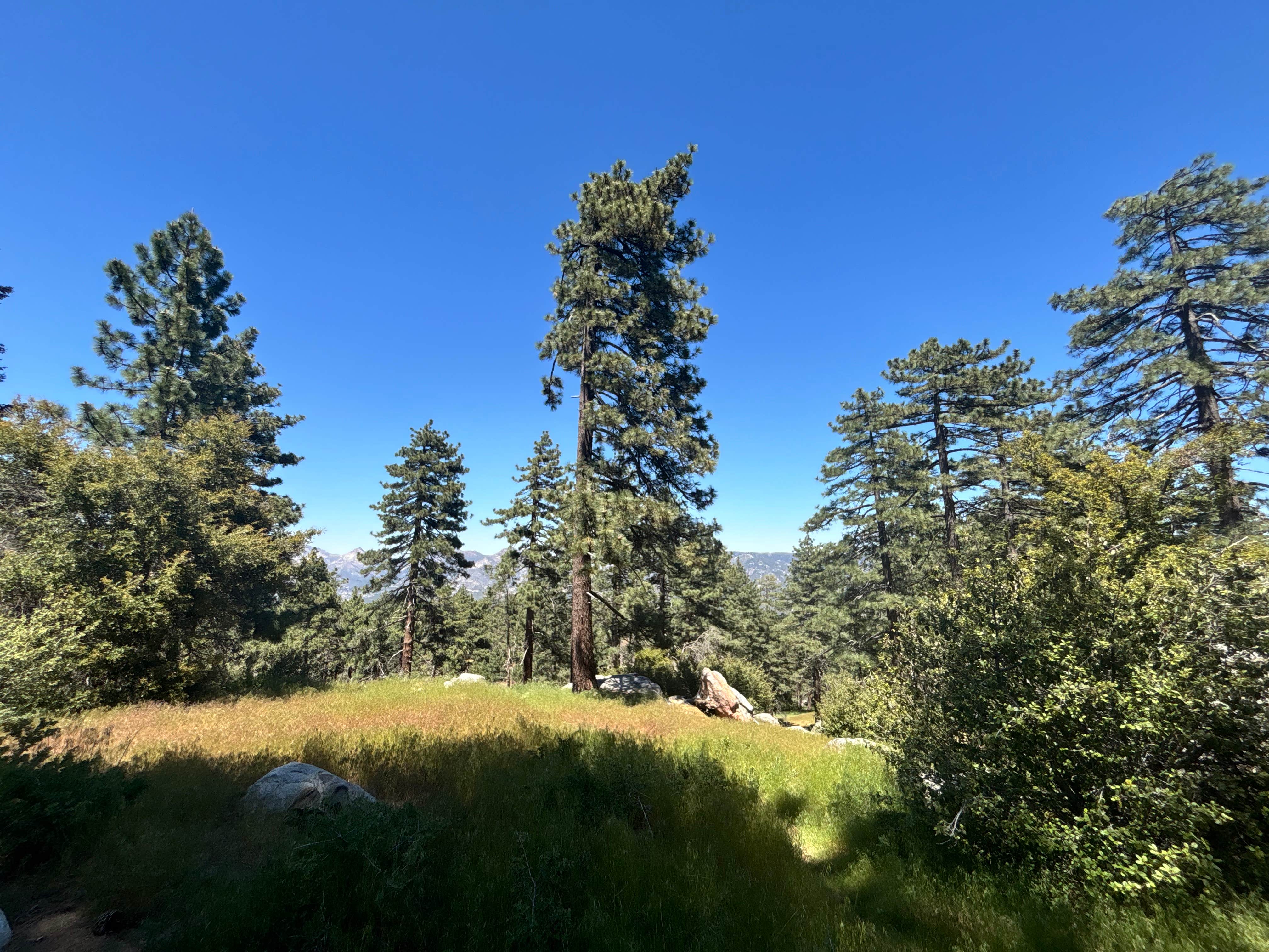 Camping near Tool Box Springs Campground: ToolBox Yellow Post 6, Anza, California