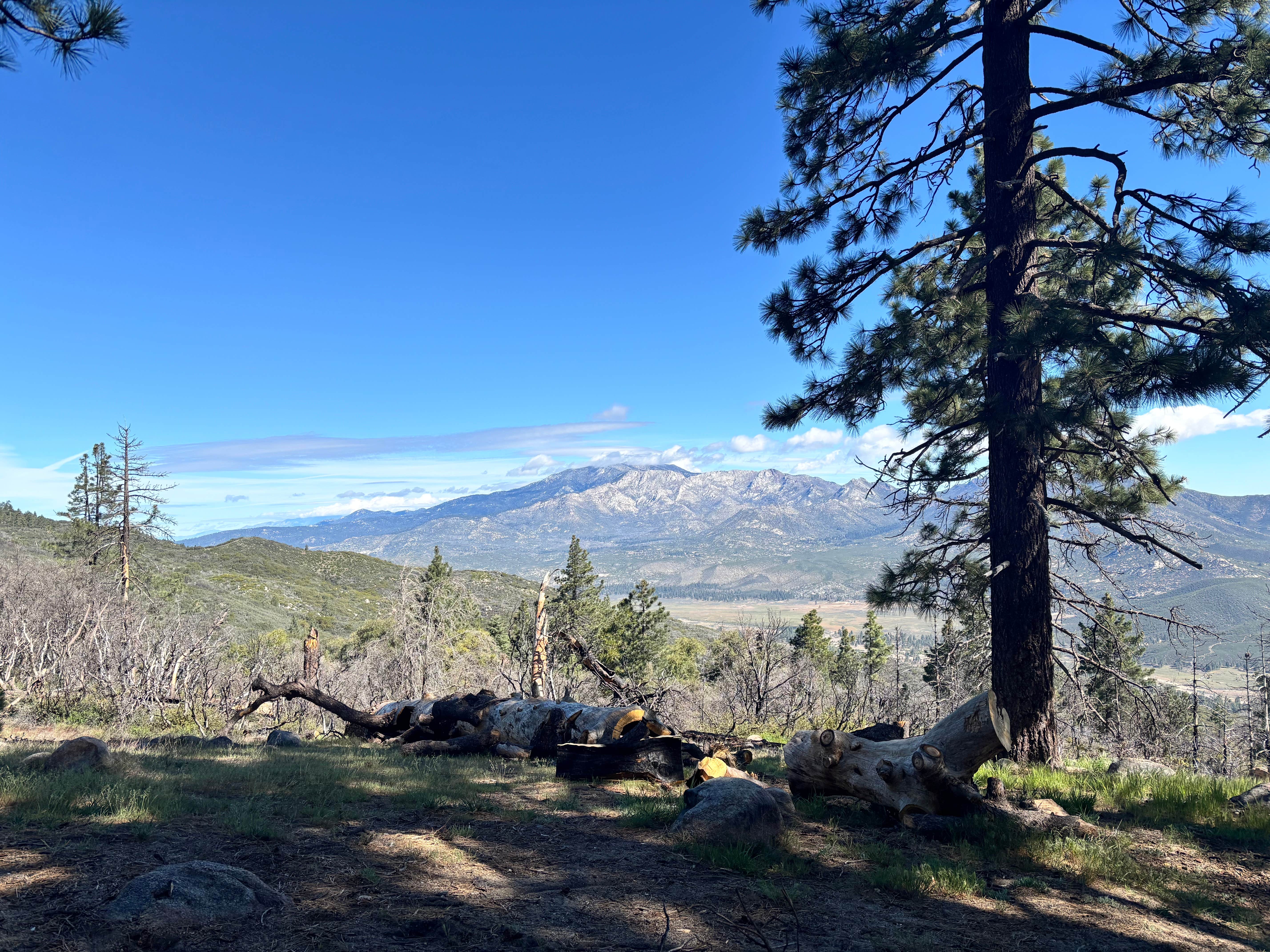 Camping near Tool Box Springs - Yellow Post Campground: ToolBox Yellow Post 6, Anza, California
