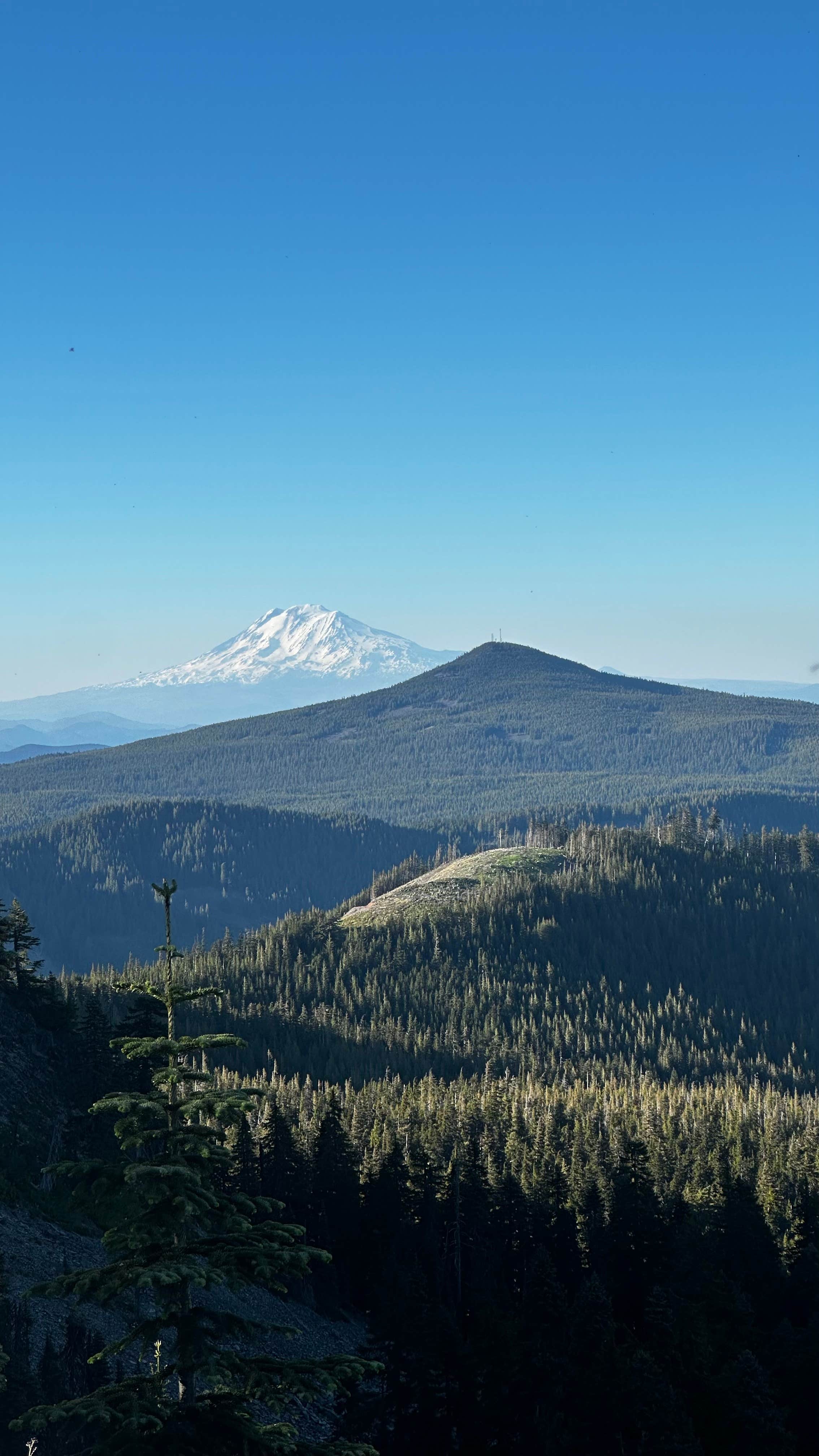 Camping near Dog Creek Falls Camp: Top ‘O the Mountain, Cascade Locks, Oregon