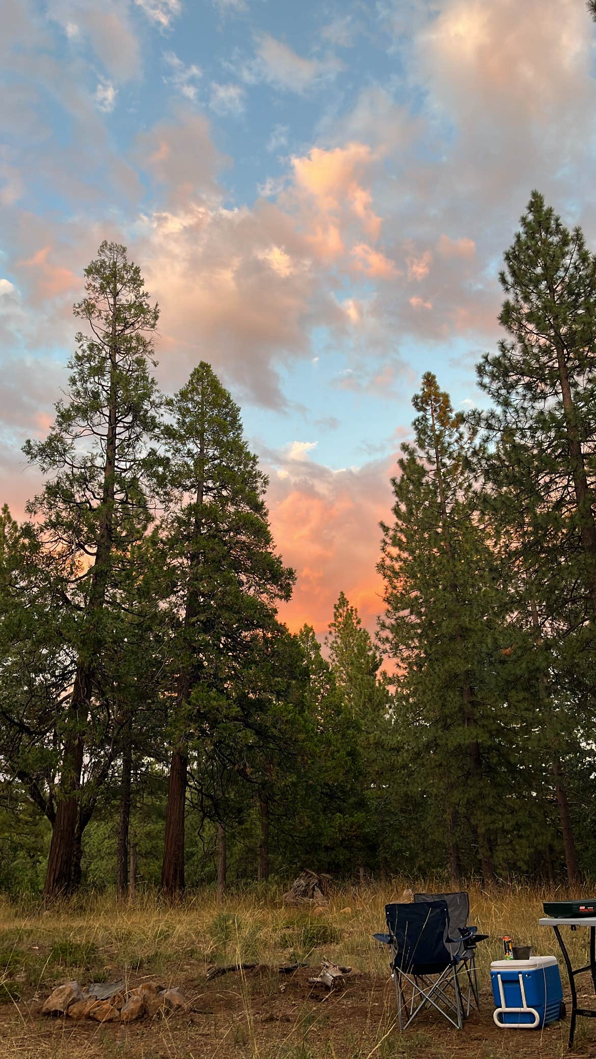 Camper-submitted photo at Top of Arnold - FR 5N56 Dispersed near Angels, CA