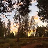 Review photo of Top of Arnold - FR 5N56 Dispersed by Ashlyn H., September 12, 2026